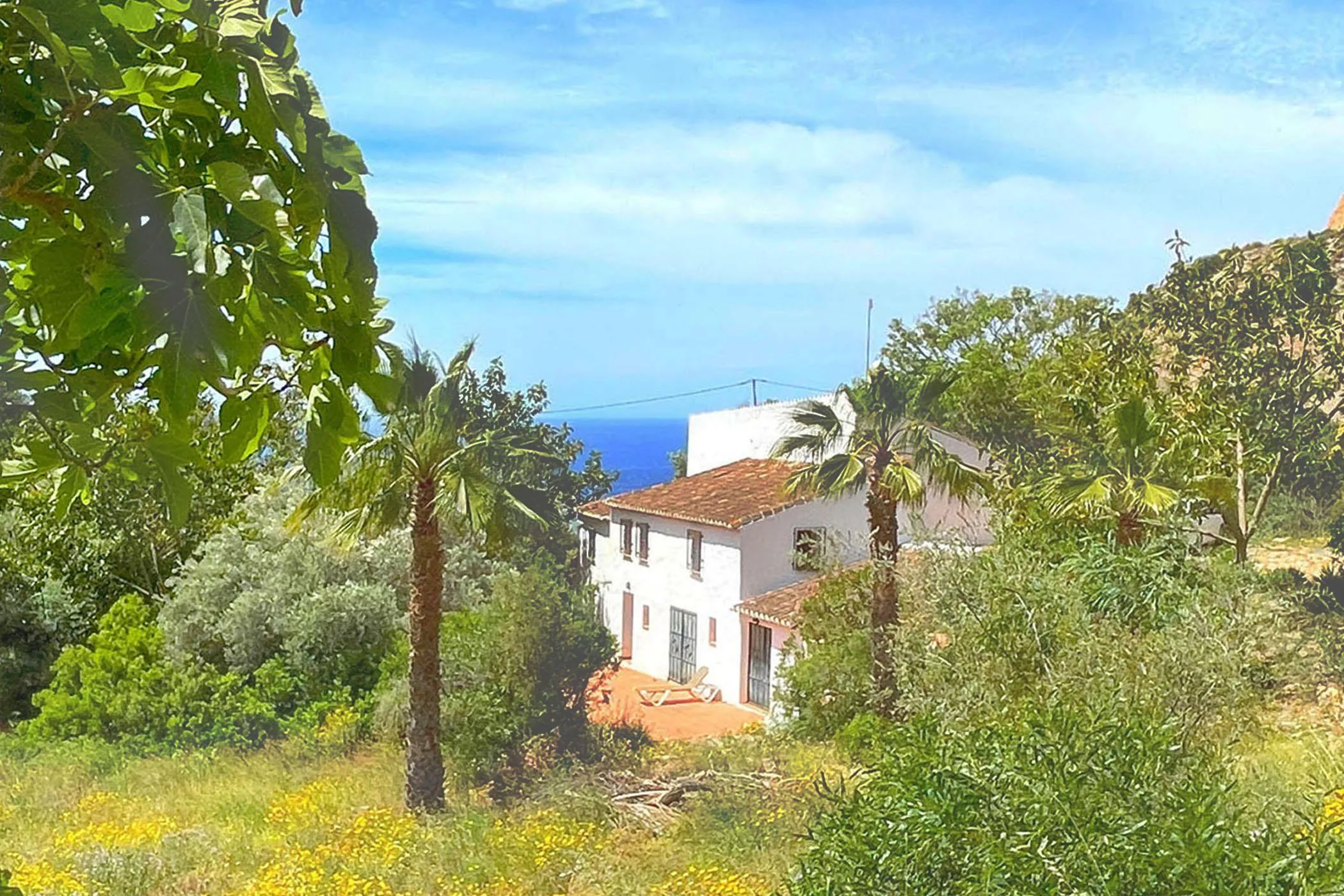La Venta
